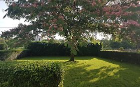 Guest House Kravica